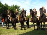 Calgary Parade 2007