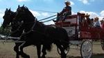 Calgary Parade 2007