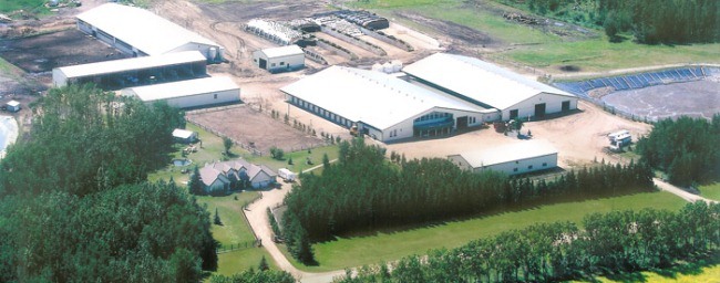 Gull Lake Farm Aerial Photograph