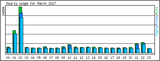 Hourly usage