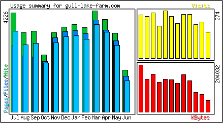 Monthly Overview